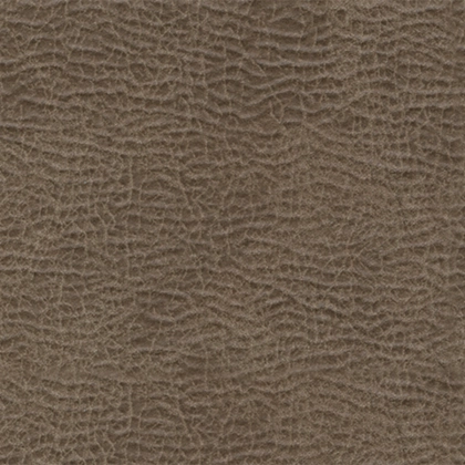 Image of Item