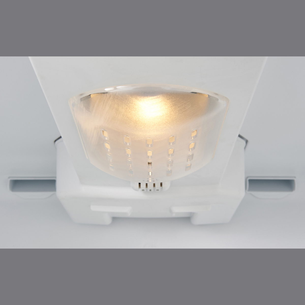 Image of Item